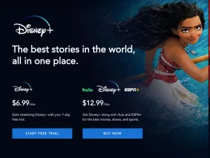Disney Plus 1 aylık kaç lira, üyelik ücretleri